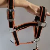 Discount licole plus longe equitheme Licols Et Longes