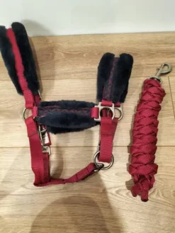 Discount Licol+longe Licols Et Longes