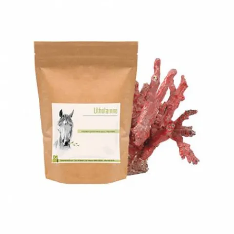 Online Lithotamne - Source de Calcium Cheval - Bien-Être Du Cheval·Plantes Pour Chevaux