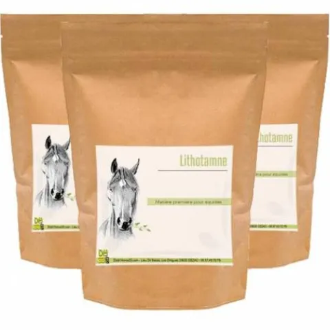 Online Lithotamne - Source de Calcium Cheval - Bien-Être Du Cheval·Plantes Pour Chevaux