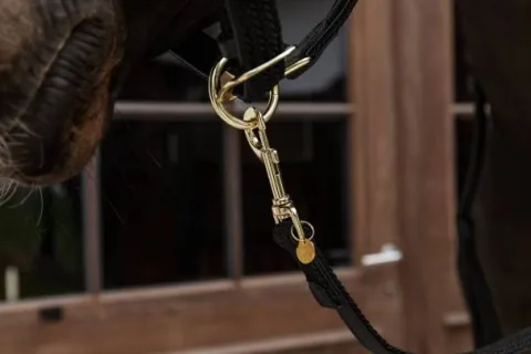 Sale Longe en nylon tressé - Kentucky Licols Et Longes