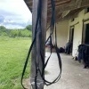 Hot Longues renes Longues Rênes