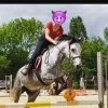 Clearance Lot equipement poney Tapis De Cso