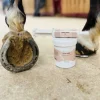Outlet Magic pieds 500G Produits De Soin Sabots