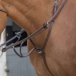 Hot Martingale à anneaux - Jump'in Enrênements·Martingale