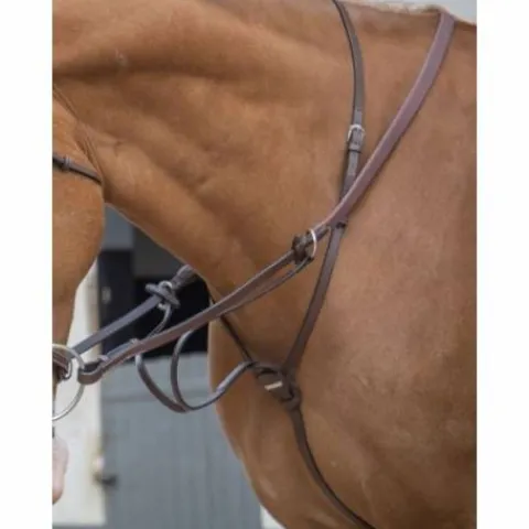 Hot Martingale à anneaux - Jump'in Enrênements·Martingale