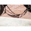 Online Martingale australienne avec bavette biothane - Enrênements·Martingale