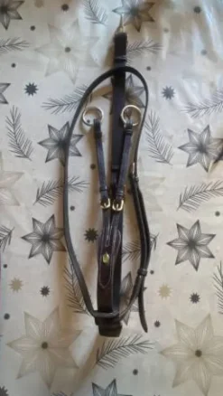 Hot Martingale, cheval Enrênements·Martingale