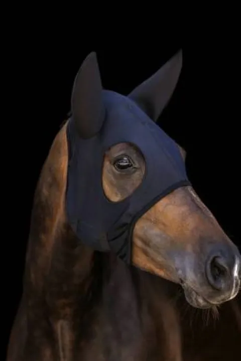 Hot Masque anti-stress TITANIUM avec oreilles - LAMICELL Bonnets|Bonnet Cheval