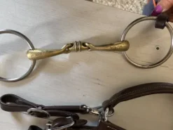 Online Mors à anneaux double brisure Anatomical Roll Mors Et Embouchures