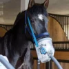 Nébuliseur à ultrasons airone - - 230 volts Appareil Respiratoire·Nébulisation Cheval
