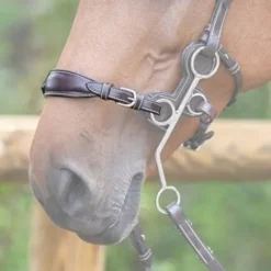 Online Nez de hackamore plombé - Jump'in Mors Et Embouchures