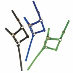 New Licol poulain Licols Et Longes