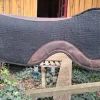 Discount Pad western en laine Tapis Western