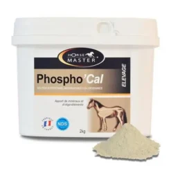 New PHOSPHO'CAL - Favorise la minéralisation osseuse du poulain Forme Et Performances·Vitamines Et Minéraux|Elevage·Croissance Du Poulain