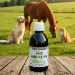 Sale Phyt'articulation cheval - problèmes articulaires Membres·Articulations|Bien-Être Du Cheval·Plantes Pour Chevaux