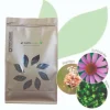 Hot Phyto Immun - Stimuler naturellement le système immunitaire Comportements·Système Immunitaire|Forme Et Performances·Système Immunitaire