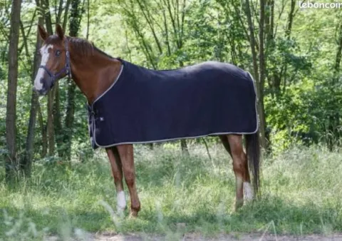 Polaire cheval 145cm Couvertures Cheval