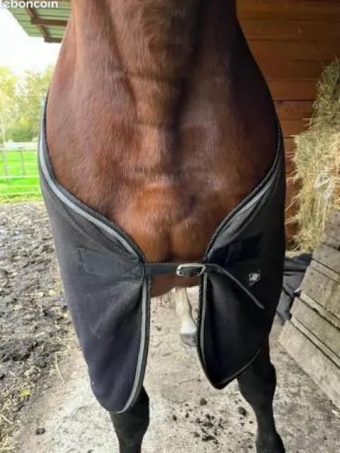 Polaire cheval 145cm Couvertures Cheval