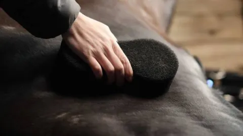 Éponge Shine Scrubber - - Multifonctionnelle Éponges De Pansage