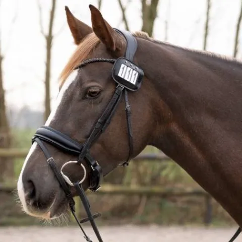Clearance Porte numéros par 2 vernis - - cuir orné de strass Les Accessoires De Concours·Dossard De Cross - Brassard|Dossards De Cross