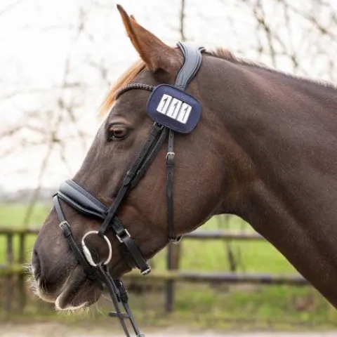 New Porte numéros shine - - paillettes Les Accessoires De Concours·Dossard De Cross - Brassard|Dossards De Cross