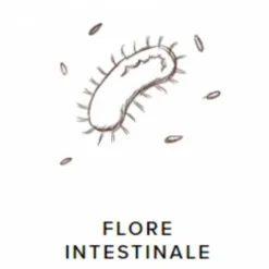 Sale ProbioGuts - 15 kg - - Probiotiques BIO Appareil Digestif·Facilite Le Transit|Appareil Digestif·Flore Intestinale