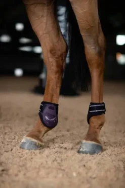 Discount Protège-boulets Anatomic Fetlock Black Raven - Protège-Boulets
