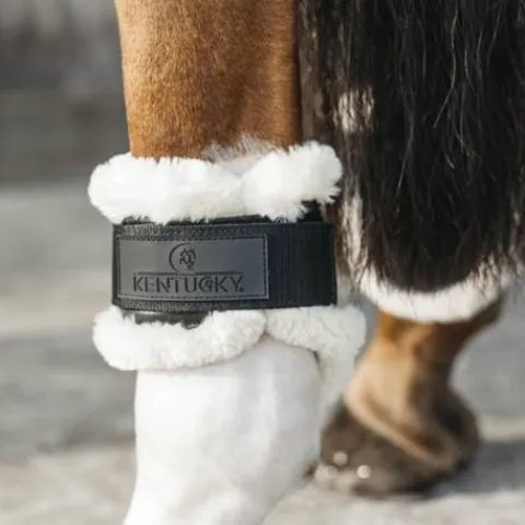 New Protèges-boulets jeunes chevaux avec mouton végan - Protège-Boulets