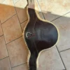 Clearance Sangle bavette Sangles