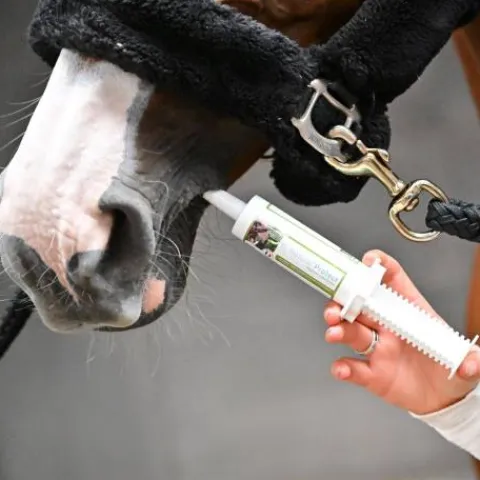 New Seringue contre les parasites Natural'Protect - Appareil Digestif·Vermifuge Cheval