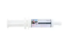 Discount Seringue de gel gastrique Natural'Digest Flash - Appareil Digestif·Stress Gastrique