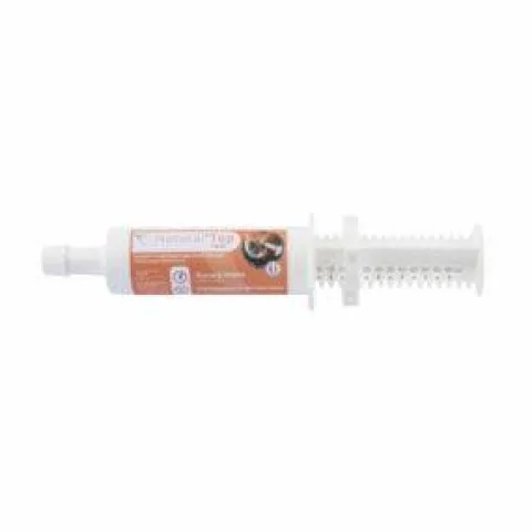 Discount Seringue forme vitalité performance Natural'Top Flash - Forme Et Performances·Booster Cheval