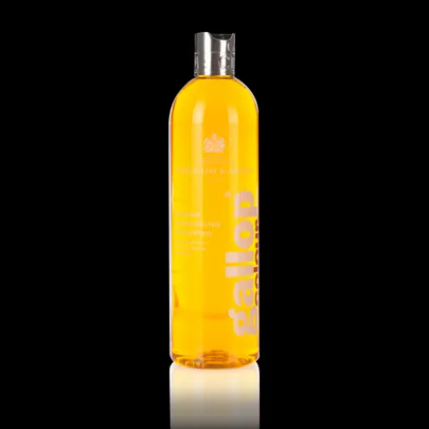 Online Shampoing Gallop Color - Carr & Day & Martin LTD Shampoings Pour Chevaux