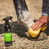 Clearance Shampoing sec Stainmaster - Carr & Day & Martin Shampoings Pour Chevaux