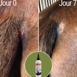 Online Soin pour la dermite Natural'Itch - Dermite Cheval|Peau Et Sabots·Dermite Estivale