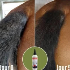 Online Soin pour la dermite Natural'Itch - Dermite Cheval|Peau Et Sabots·Dermite Estivale