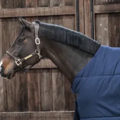 New Sous-couverture Classic 200g - Kentucky Couvertures Cheval