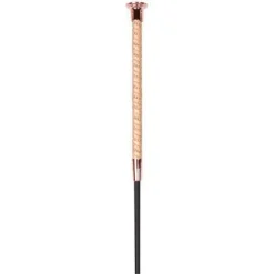 Online Stick dressage Precious Harry's horse Cravaches