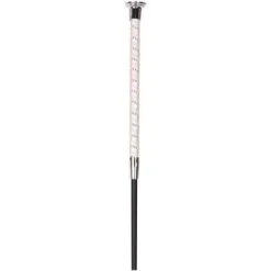 Online Stick dressage Precious Harry's horse Cravaches