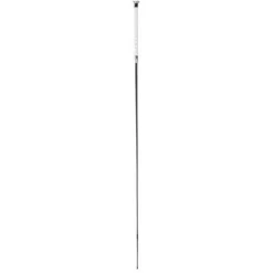 Online Stick dressage Precious Harry's horse Cravaches