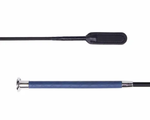 Best Stick dressage steady Cravaches