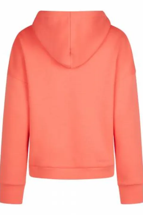 Hot Sweat à capuche classic sports 2025 - - edition limitée Femme Tenue D'Équitation Femme·Sweat Shirt, Polaire Et Pull Femme