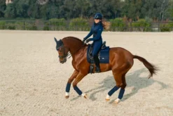 Outlet Sweat Ideal Hoodie Sportive Navy - Femme Tenue D'Équitation Femme·Sweat Shirt, Polaire Et Pull Femme