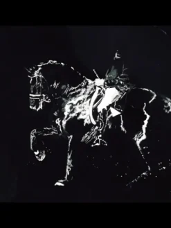 Tableau personnalisé, Horse Pilot , Cavalliera Toscana, Femme Le Cavalier En Concours|L'Homme En Concours