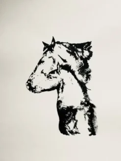Outlet Tableaux de chevaux, poneys, ânes , chien Décorations
