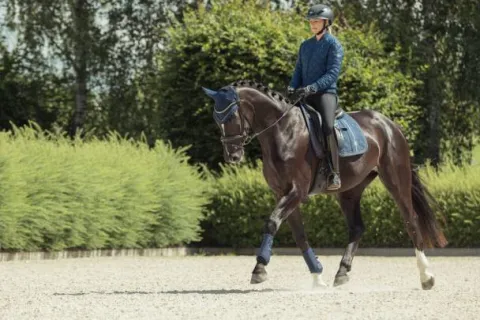 New Tapis big square Glam Heritage 24/25 Tapis De Dressage|Tapis De Cso