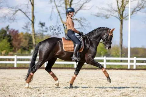 Discount Tapis bord rose - Rocky Road - Tapis De Dressage|Tapis De Cso
