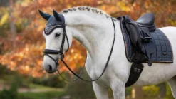 New Tapis de dressage Loire Petrole - Tapis De Dressage|Tapis De Selle