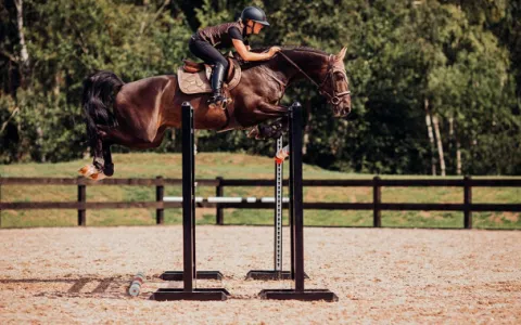 Discount Tapis de selle CHAMPAGNE - Tapis De Cso|Tapis De Dressage
